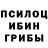 Галлюциногенные грибы прущие грибы 050_475_55_05