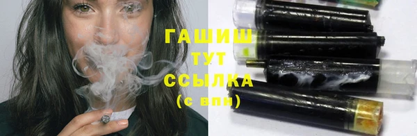 прущие грибы Алзамай