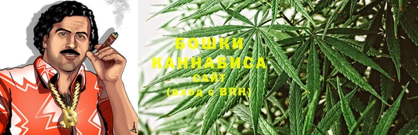 прущие грибы Алзамай