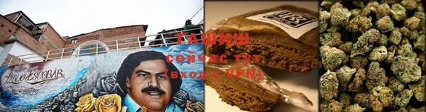 прущие грибы Алзамай