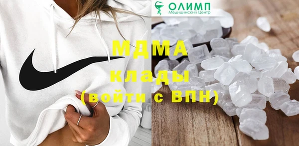 прущие грибы Алзамай